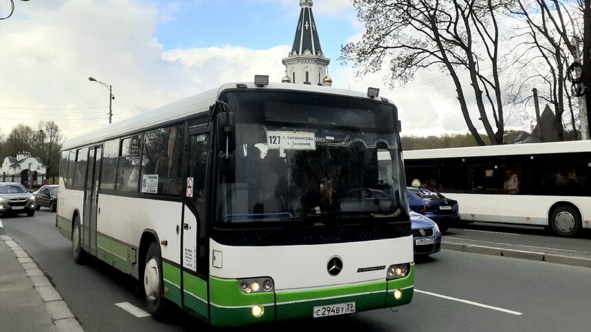 По улице Невского запустили ещё один автобусный маршрут - Новости Калининграда | Фото: группа &quot;Автобусы Калининграда&quot; в сети ВКонтакте