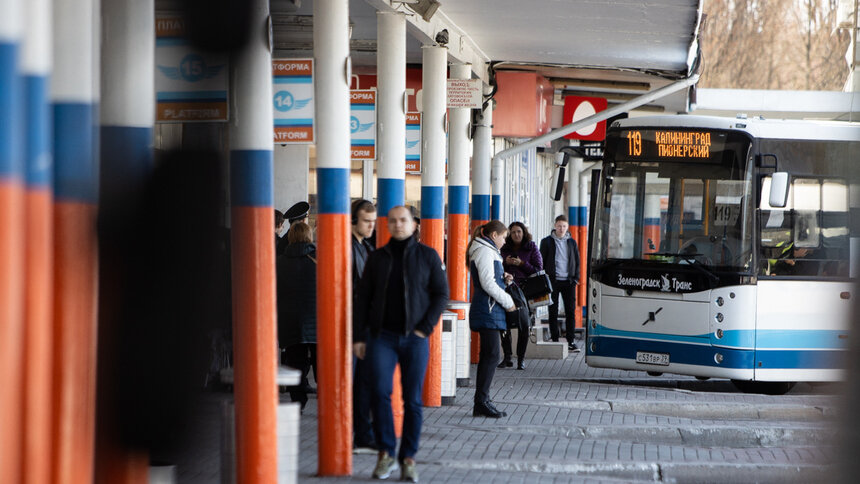 В приморские города Калининградской области летом планируют пустить дополнительные автобусы  - Новости Калининграда | Фото архив «Клопс»