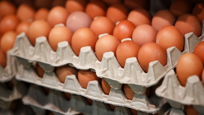 В России начали снижаться цены на яйца - Новости Калининграда | Фото: архив «Клопс»