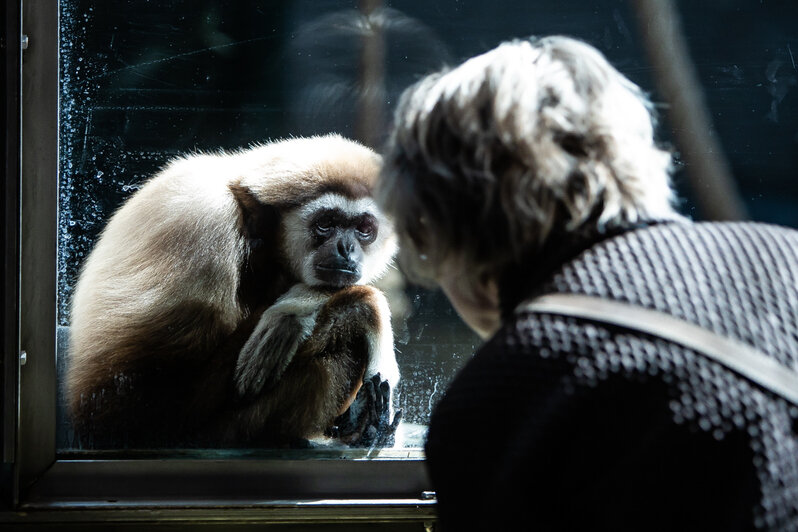 Один день из жизни Калининградского зоопарка (фоторепортаж) - Новости  Калининграда