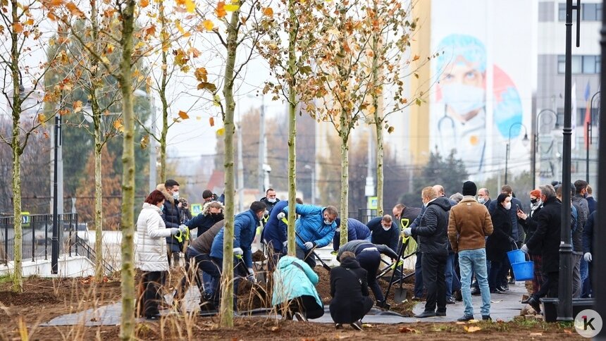«Наш город становится более зелёным»: Дятлова — о том, что в Калининграде высадка деревьев превышает вырубку - Новости Калининграда | Фото: Архив &quot;Клопс&quot;