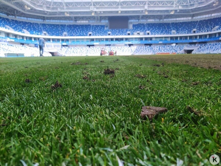 На стадионе «Калининград» начали обновлять футбольный газон (фото) - Новости Калининграда | Фото: &quot;Клопс&quot;