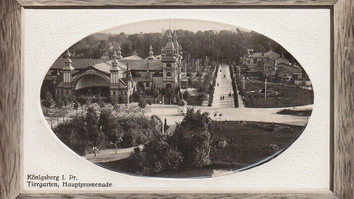 Вид со смотровой башни на Главную аллею зоопарка. Слева — концертный зал, справа — ресторан | Фотография на открытке 1910 года
