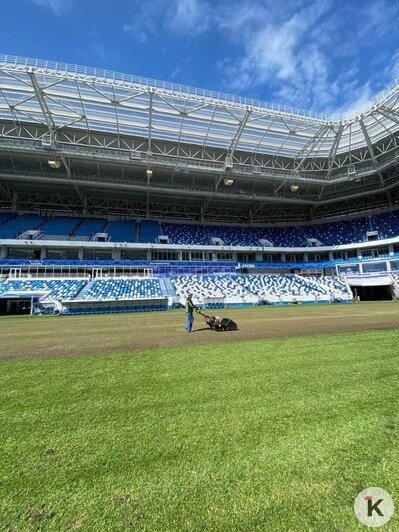 На стадионе «Калининград» начали обновлять футбольный газон (фото) - Новости Калининграда