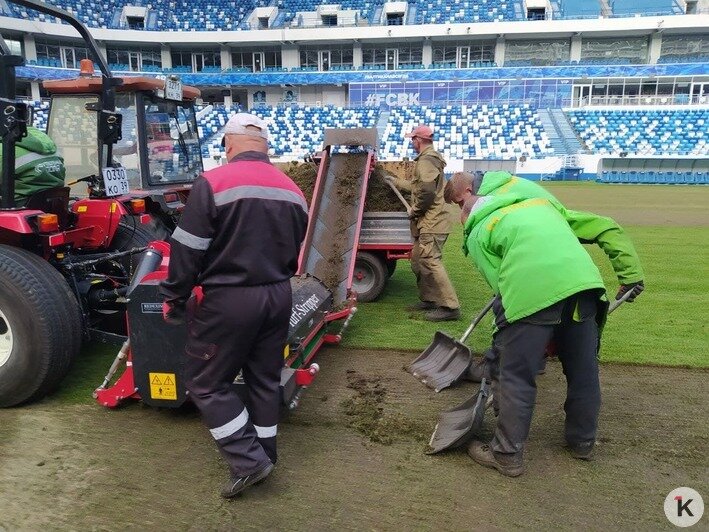 На стадионе «Калининград» начали обновлять футбольный газон (фото) - Новости Калининграда