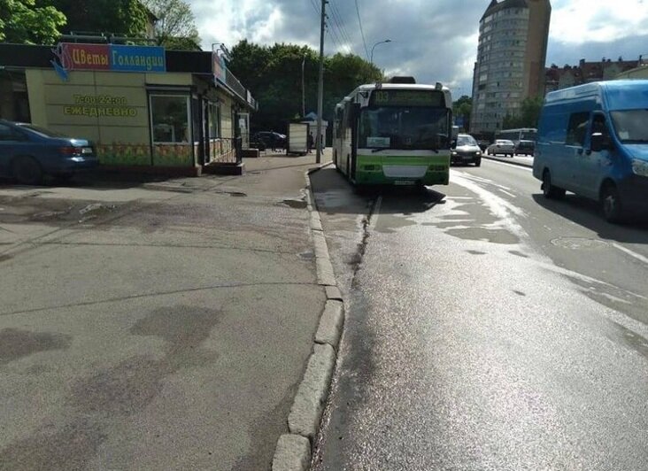 В Калининграде за день в ДТП пострадали два пассажира автобусов - Новости Калининграда | Фото: пресс-служба УМВД России по Калининградской области