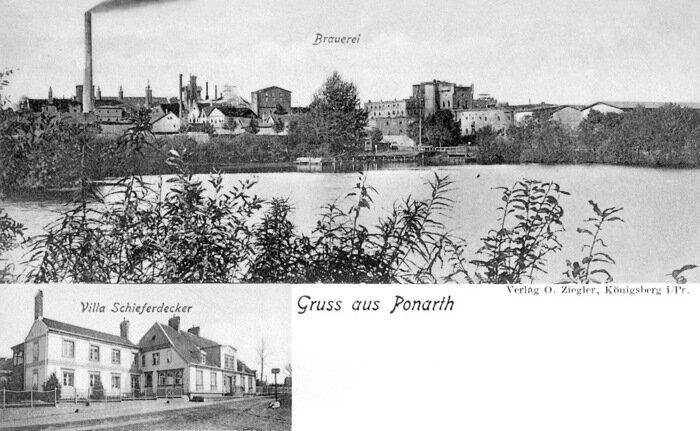 Пивоварня «Понарт» и вилла Шиффердеккера  | Фотографии на открытке начала XX века