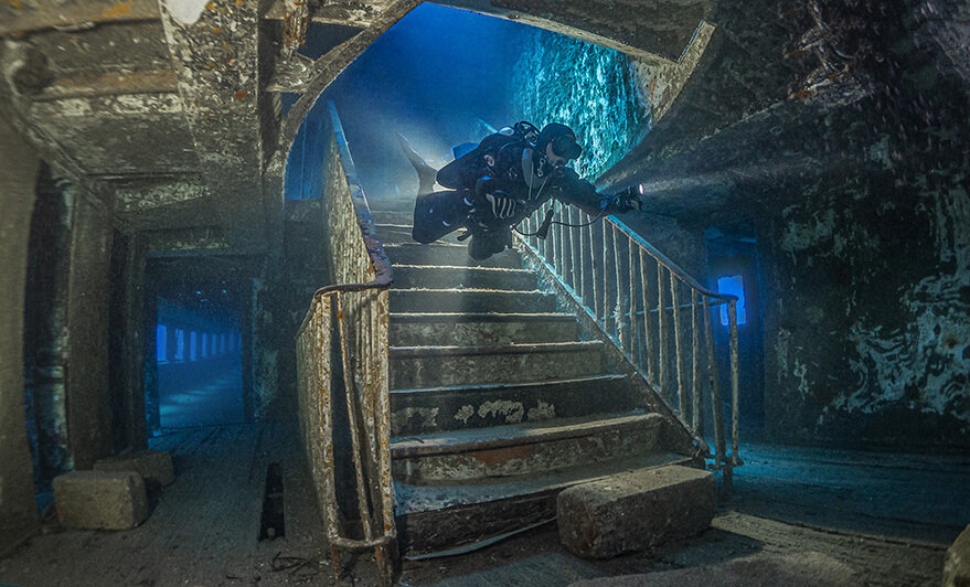 Кадры из экспозиции «Дикий подводный мир» | Фото: Музей Мирового океана