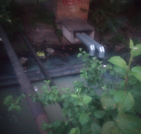 Мутная вода и зловоние: в Калининграде снова сбрасывают стоки в реку Лесную - Новости Калининграда | Фото: Юрате Пилюте