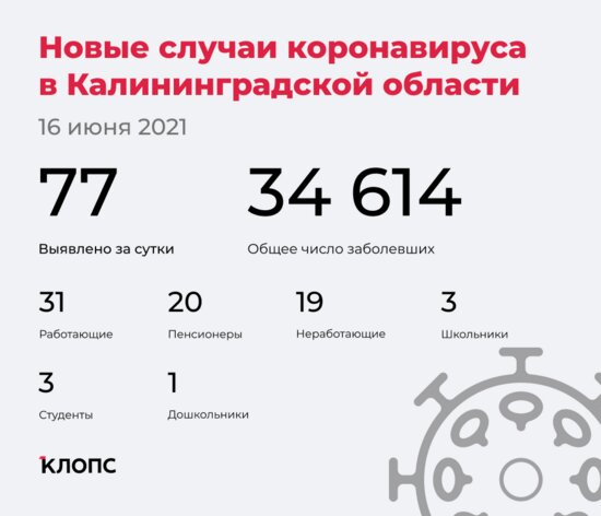 77 заболели, 75 выздоровели: ситуация с COVID-19 в Калининградской области на среду - Новости Калининграда