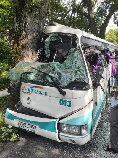 Под Янтарным пассажирский автобус въехал в дерево, есть пострадавшие (обновлено) - Новости Калининграда | Фото: очевидцы