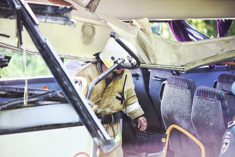 Под Янтарным пассажирский автобус въехал в дерево, есть пострадавшие (обновлено) - Новости Калининграда | Фото: Александр Подгорчук / «Клопс»