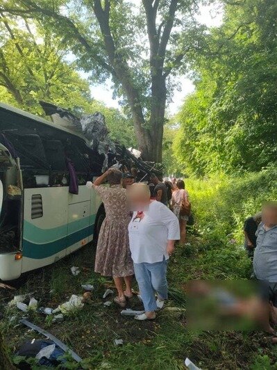 Под Янтарным пассажирский автобус въехал в дерево, есть пострадавшие (обновлено) - Новости Калининграда | Фото: очевидцы