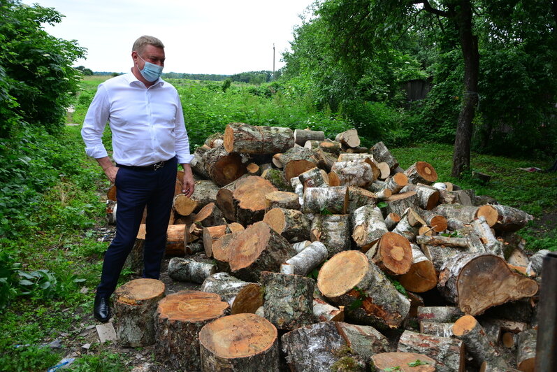 Александр Ярошук помог заготовить дрова жителям Правдинского района - Новости Калининграда
