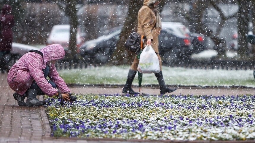 Эксперт — об изменении климата: Снег будет аномалией - Новости Калининграда | Фото: Александр Подгорчук