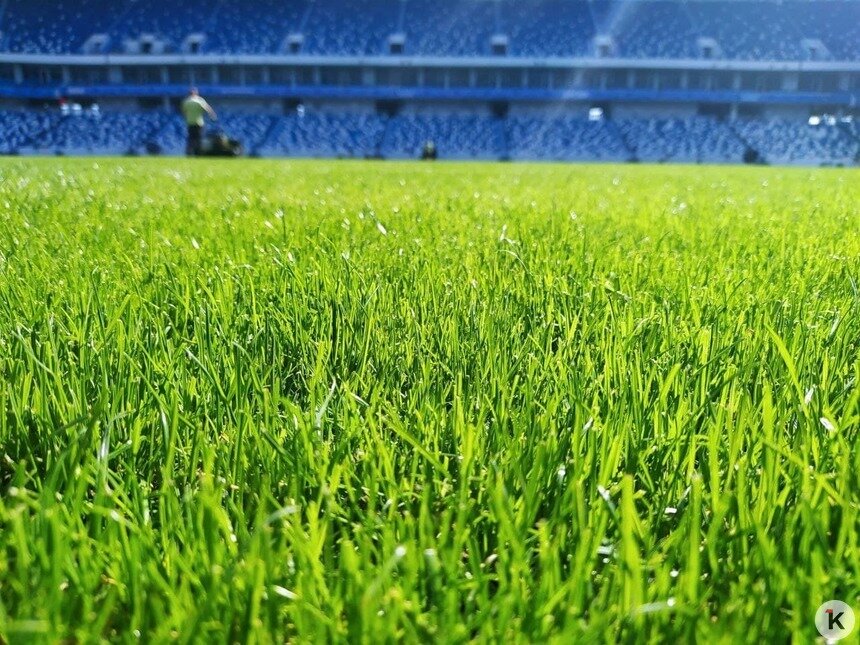 Фото дня: газон на стадионе «Калининград» после замены - Новости Калининграда | Фото: Павел Будников / «Клопс»