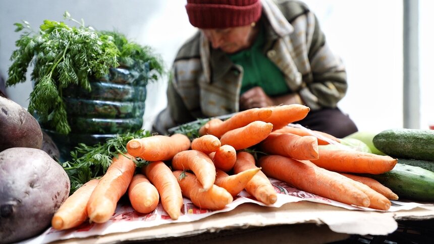 Алиханов заявил о снижении цен на морковь - Новости Калининграда | Фото: архив «Клопс»