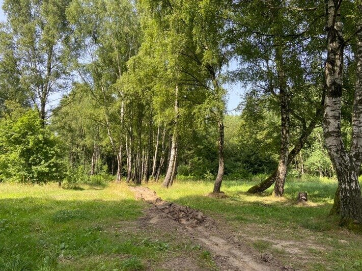 Верхолаз вступился за «Чкаловский лес» и поддержал инициативную группу - Новости Калининграда