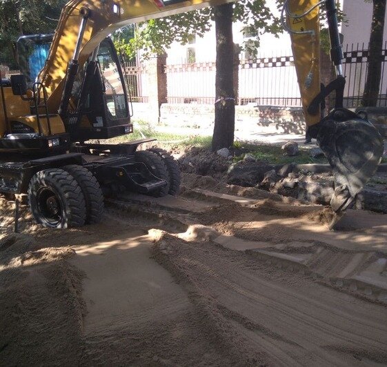 В Калининграде при реконструкции Колхозной обрубили корни деревьев (фото) - Новости Калининграда