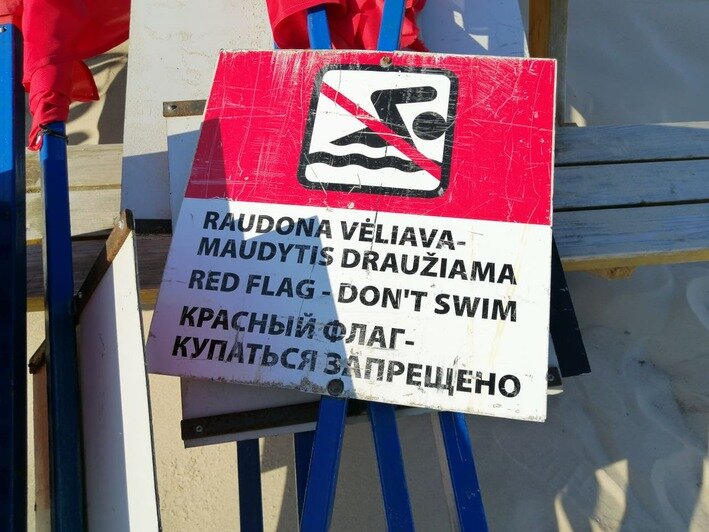 Оштрафован, но цел: как спасают купальщиков в прибалтийских странах  - Новости Калининграда | Фото: Александра Королёва