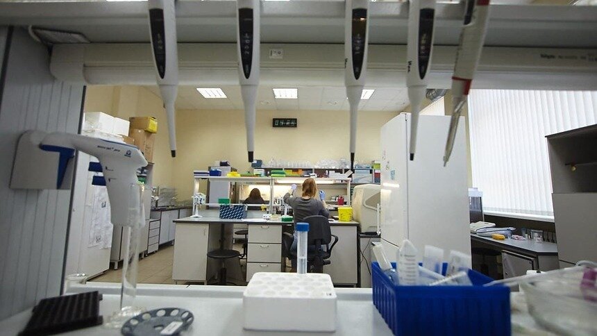 Учёные планируют создать лекарство от коронавируса на основе полыни - Новости Калининграда | Фото архив «Клопс»