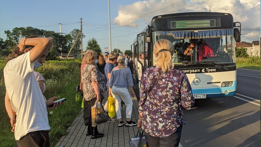 «Ездим битком и без кондиционеров»: пассажиры — о сокращении автобусов из Калининграда в Мамоново - Новости Калининграда | Фото очевидцев