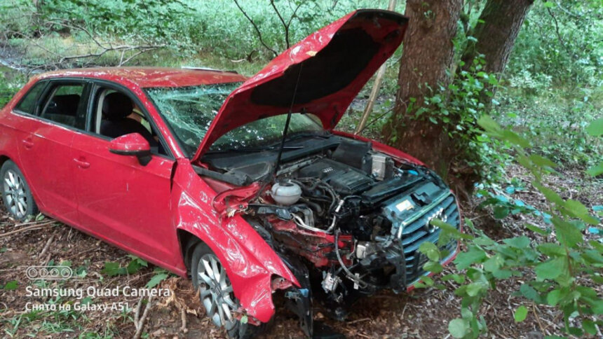 В Светлогорске Audi врезалась в дерево и вылетела в кювет, объезжая выскочившее животное - Новости Калининграда | Фото: пресс-служба регионального УМВД