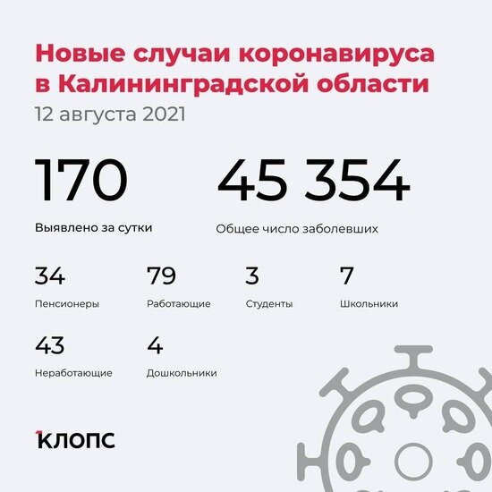 Четверо скончались, у 24 — пневмония: всё о ситуации с ковидом в Калининградской области на четверг - Новости Калининграда