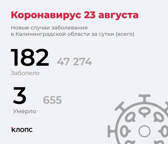 Трое скончались, 182 заболели: ситуация с ковидом в Калининградской области на понедельник - Новости Калининграда