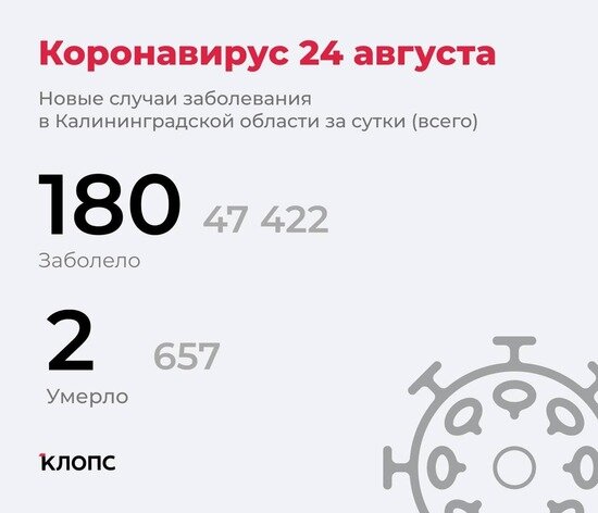 Заболели 180, подтвердились ещё две смерти: ситуация с коронавирусом в Калининградской области на 24 августа - Новости Калининграда