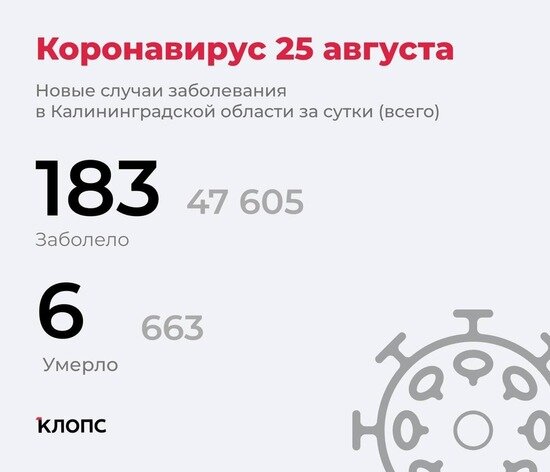 183 заболели, ещё 6 скончались: всё о ситуации с ковидом в Калининградской области на 25 августа - Новости Калининграда