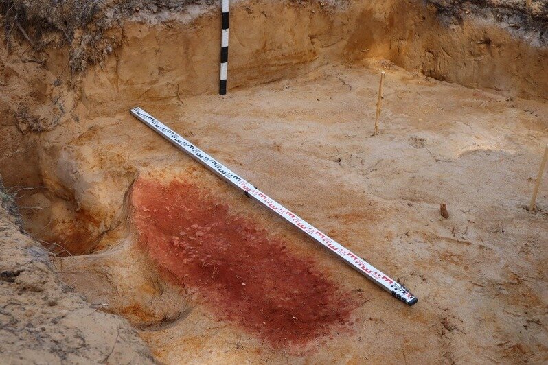  «Янтарные украшения лежали в могиле в два яруса»: археологи в Карелии сделали уникальную находку - Новости Калининграда