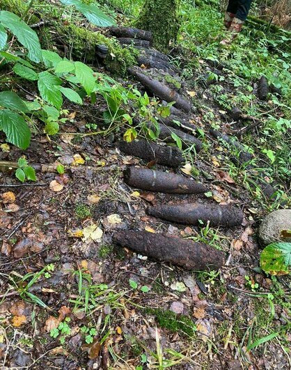 Очевидцы: в Багратионовском районе в лесу нашли десятки снарядов - Новости Калининграда | Фото очевидца
