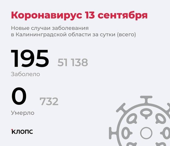 195 заболевших, 131 выздоровевший: всё о ситуации с ковидом в Калининградской области на 13 сентября - Новости Калининграда