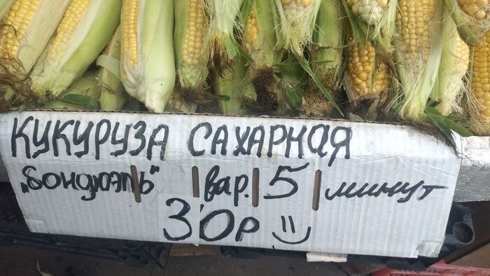 Щупай зёрнышки, смотри на ботву: как выбрать кукурузу в Калининграде - Новости Калининграда | Фото: «Клопс»