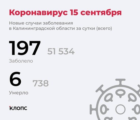 197 заболевших, ещё 6 человек скончались: ситуация с ковидом в Калининградской области на среду - Новости Калининграда