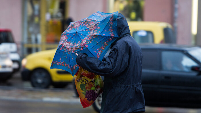 Как выбрать зонт на осень: советы калининградского стилиста - Новости Калининграда | Фото: архив «Клопс»