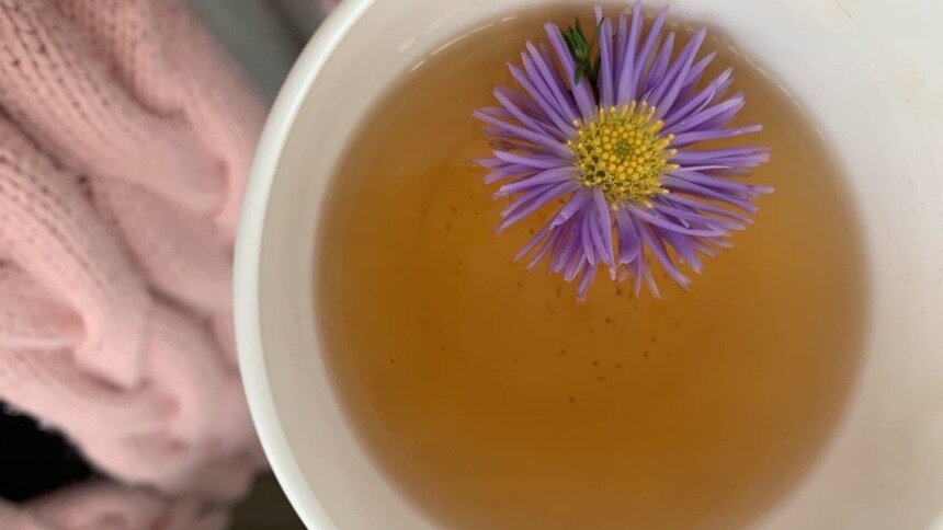 Японский учёный указал на целебные свойства зелёного чая - Новости Калининграда | Фото: архив «Клопс»