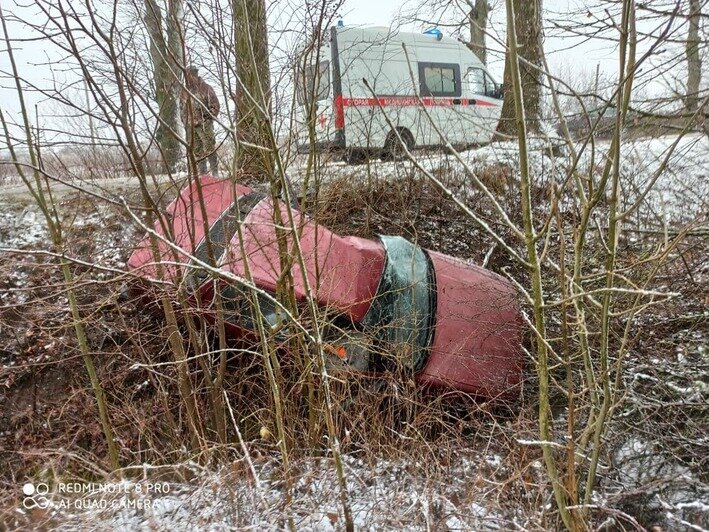Занесло на снегу: в Черняховском районе легковушка врезалась в дерево, пострадали два человека (фото) - Новости Калининграда | Фото: очевидец