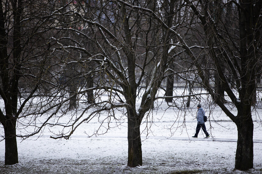 Климатолог рассказал, какими будут январь и февраль в Калининграде - Новости Калининграда | Фото: Александр Подгорчук