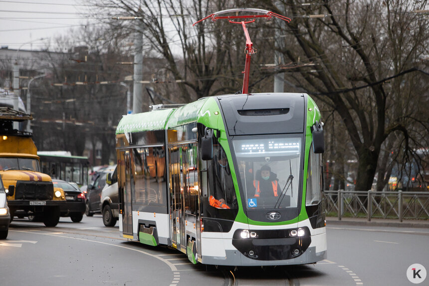 Новый трамвай “Корсар” в январе будет ходить в Калининграде по ночам - Новости Калининграда | Фото: Архив &quot;Клопс&quot;