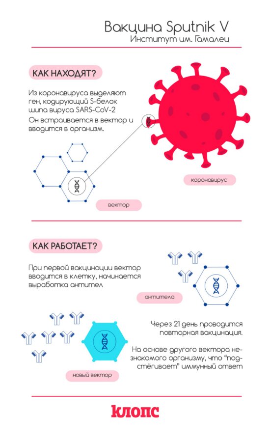 13 вопросов о прививочной кампании против COVID-19 в Калининграде  - Новости Калининграда