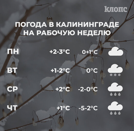 Синоптики рассказали о погоде в Калининграде на рабочую неделю - Новости Калининграда