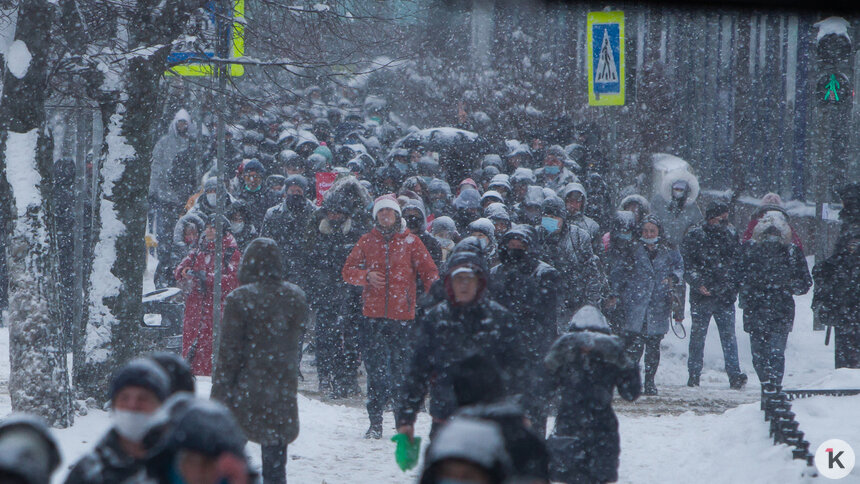 УМВД: в несогласованной акции в Калининграде участвовали 250 человек - Новости Калининграда | Фото: Александр Подгорчук