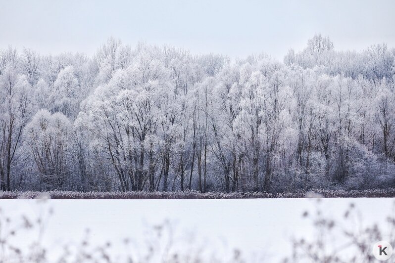 Фото дня: зима на Виштынецком озере - Новости Калининграда | Фото: Александр Подгорчук