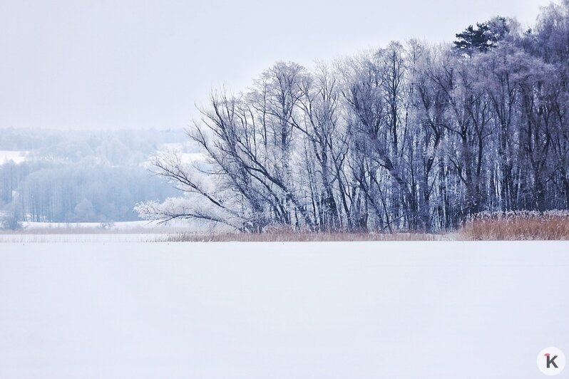 Фото дня: зима на Виштынецком озере - Новости Калининграда | Фото: Александр Подгорчук
