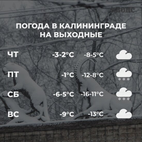 Синоптики рассказали о погоде в Калининграде на первые выходные февраля - Новости Калининграда