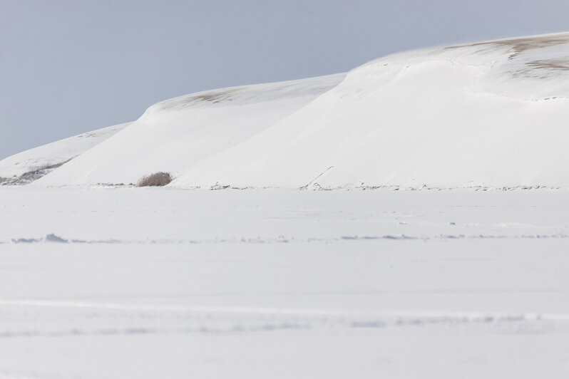 Дюны в снегу: как выглядит Куршская коса зимой (фото) - Новости Калининграда | Александр Подгорчук / &quot;Клопс&quot;
