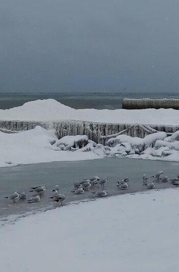 В Калининградской области замерзает море (фото) - Новости Калининграда | Фото: Андрей Филиппов