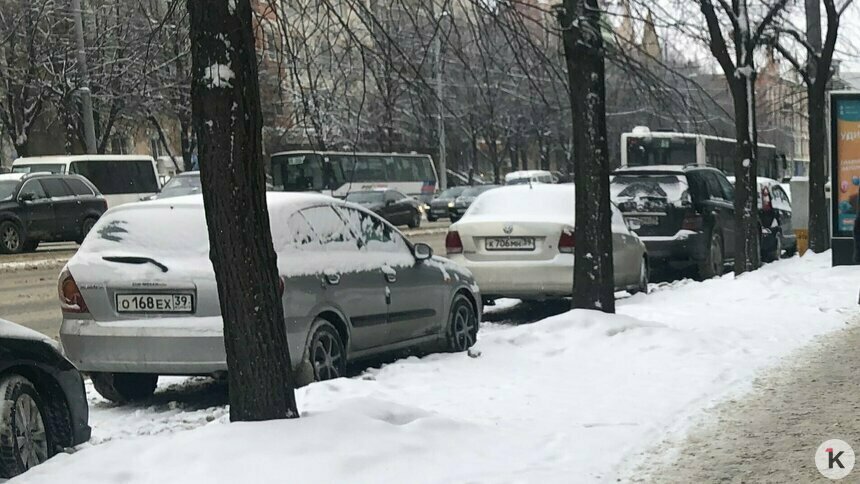 Сам себе гаишник: калининградцы предложили новый способ очистки дорог от снега и мусора - Новости Калининграда | Фото: Инга Фиронова